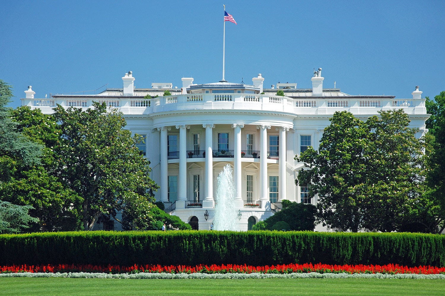 the white house