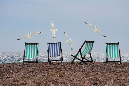 beach chairs and seagulls