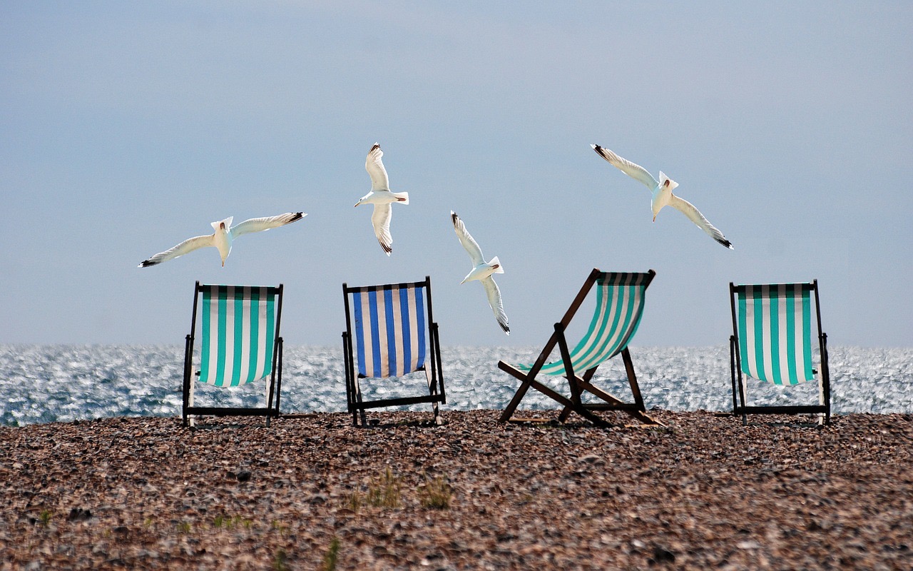 beach chairs and seagulls