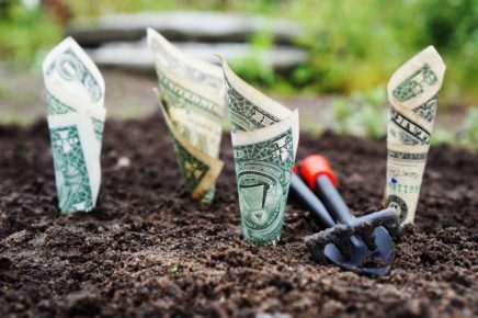 money growing from the ground